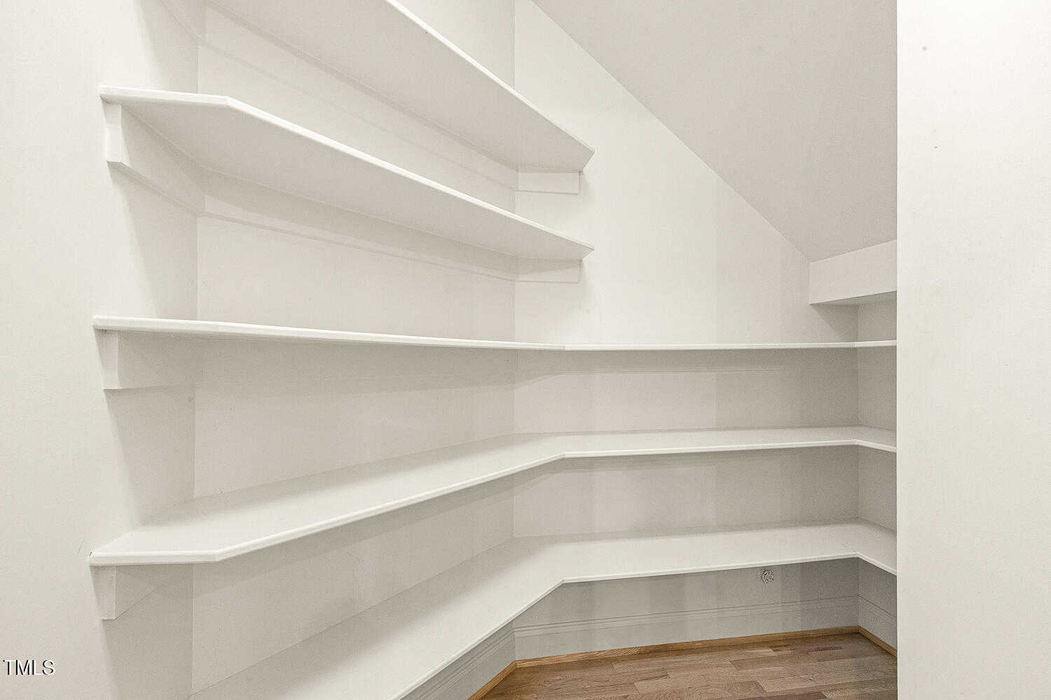 3124 Briar Stream Run Raleigh, NC 27612 - Photo 14 of 57 a view of an empty walk in closet