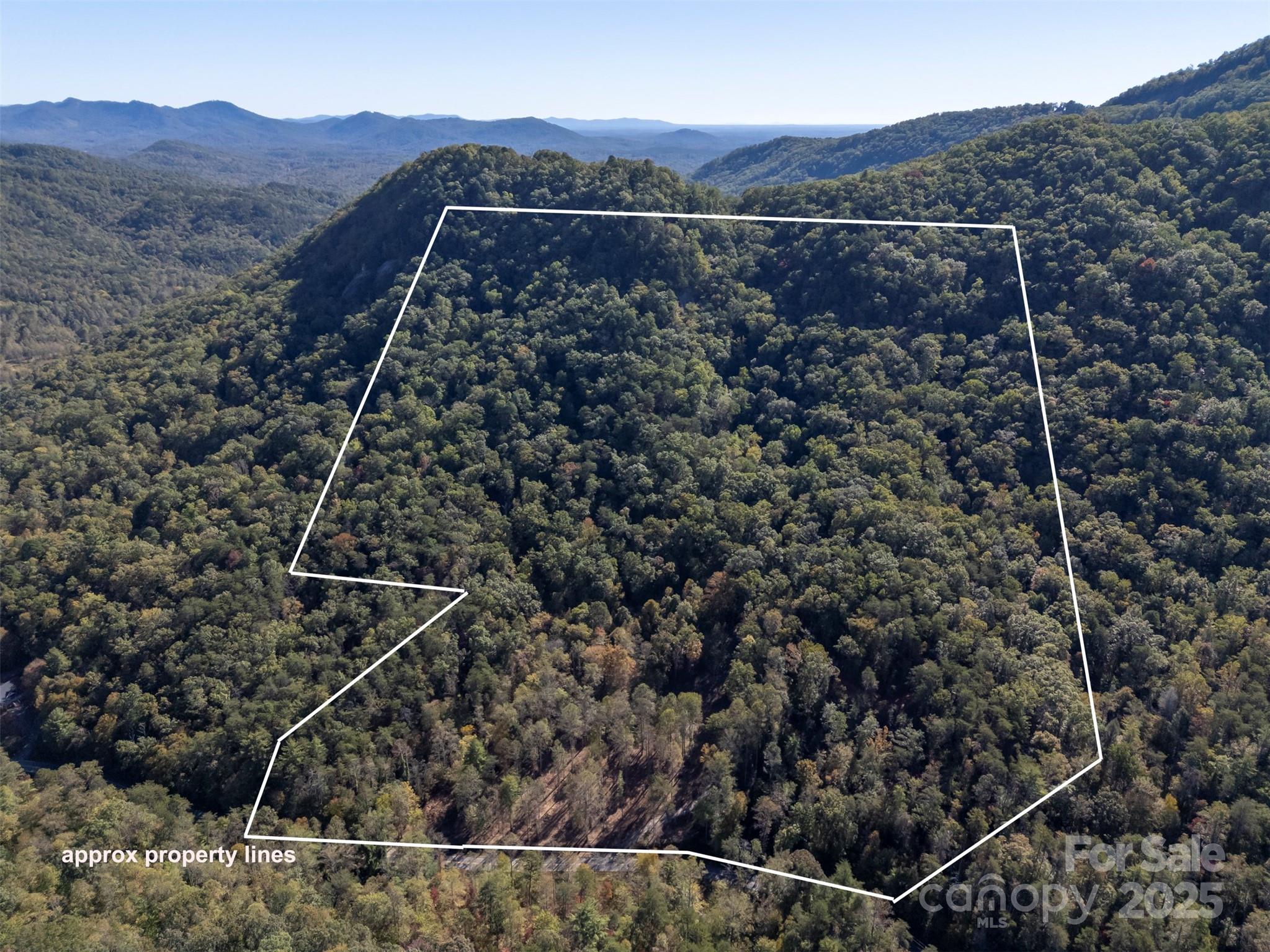 3298 Buffalo Creek Road Lake Lure, NC 28746 - Photo 1 of 26 an aerial view of house with a mountain
