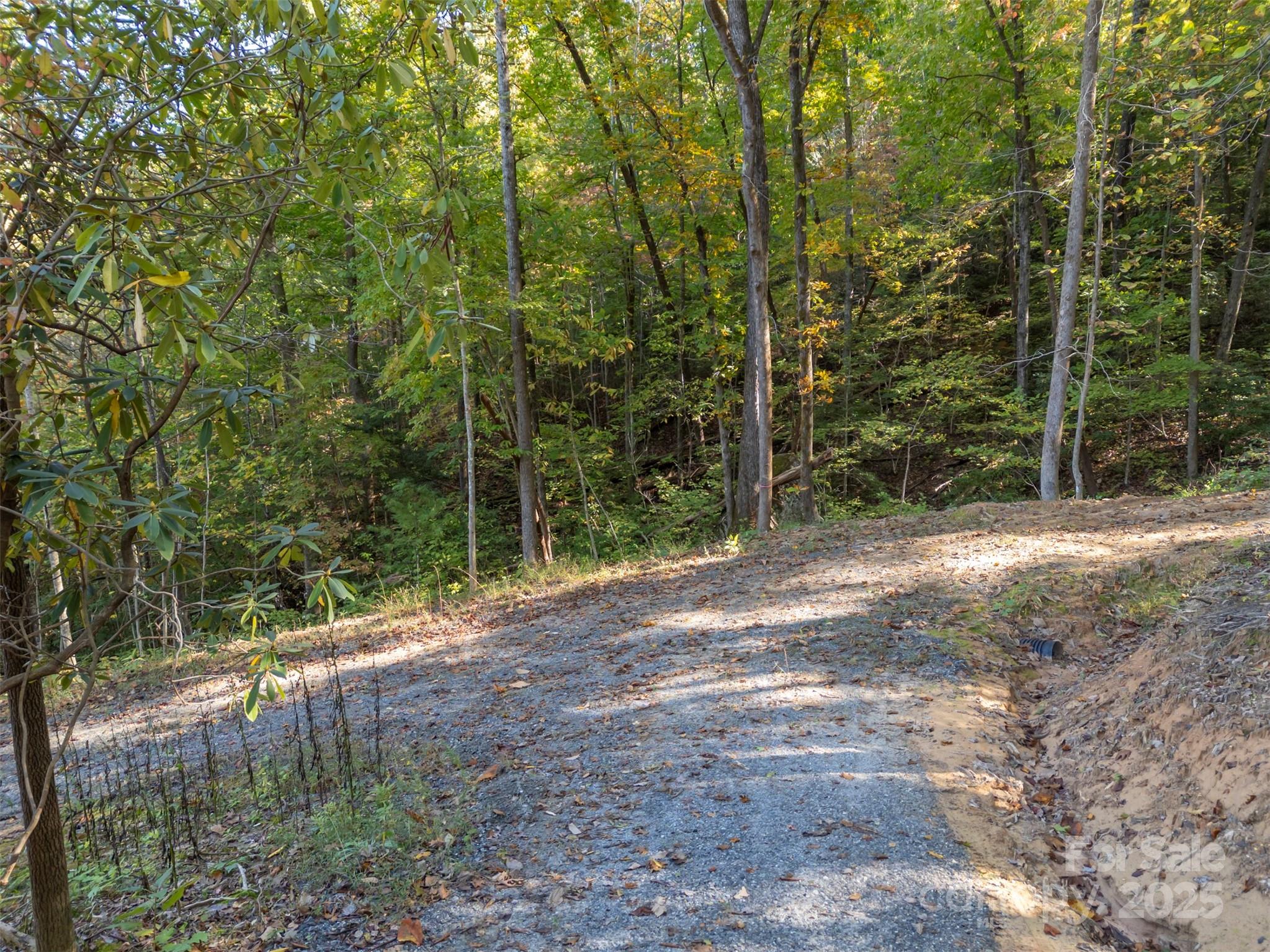 3298 Buffalo Creek Road Lake Lure, NC 28746 - Photo 12 of 26 a backyard of a house with lots of green space
