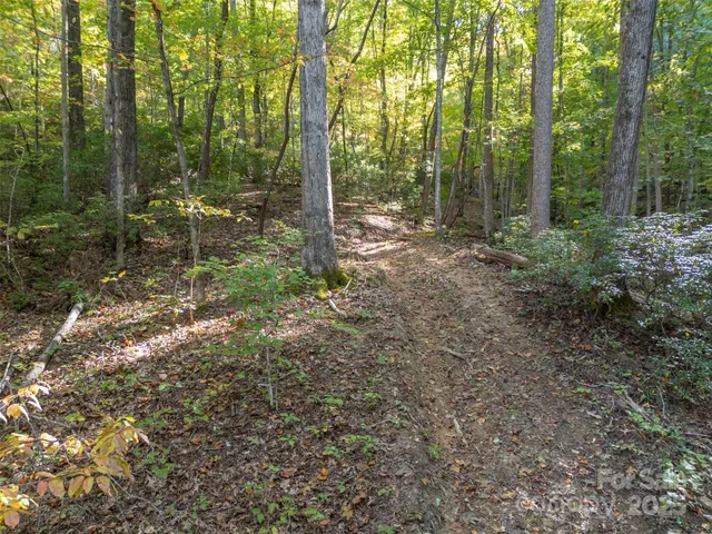 a view of outdoor space and trees