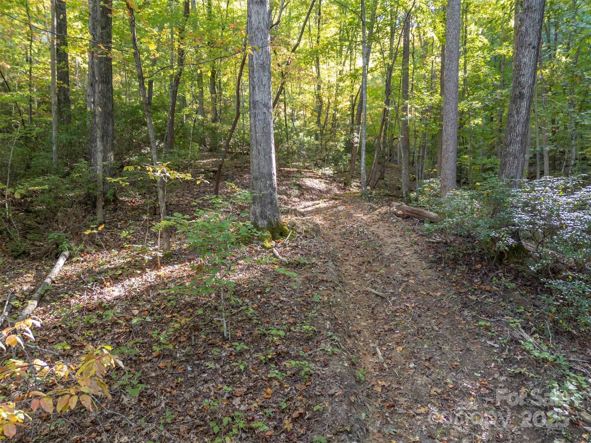 3298 Buffalo Creek Road Lake Lure, NC 28746 - Photo 13 of 26 a view of outdoor space and trees