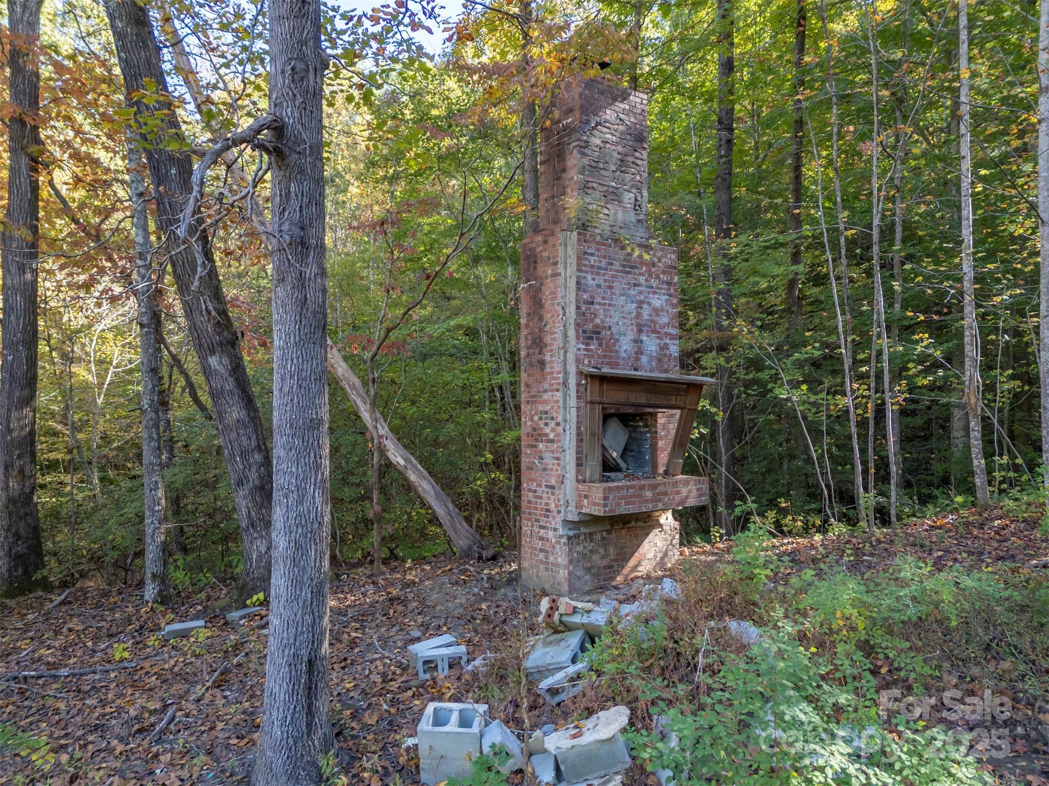 3298 Buffalo Creek Road Lake Lure, NC 28746 - Photo 15 of 26 a backyard of a house with lots of green space