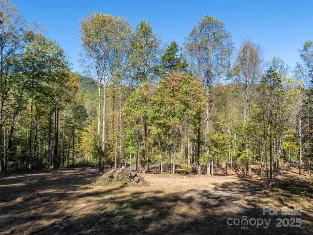 a view of a road with trees