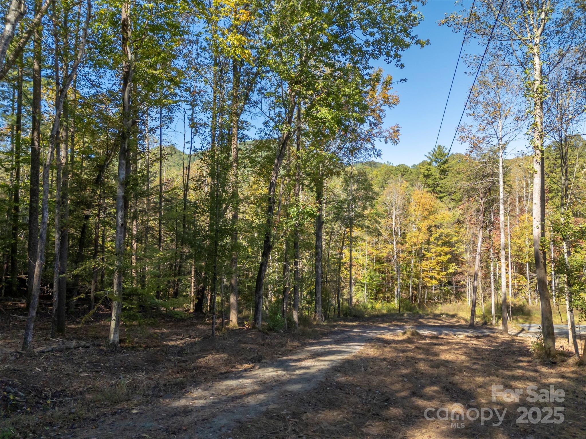 3298 Buffalo Creek Road Lake Lure, NC 28746 - Photo 17 of 26 a view of a field with trees in the background