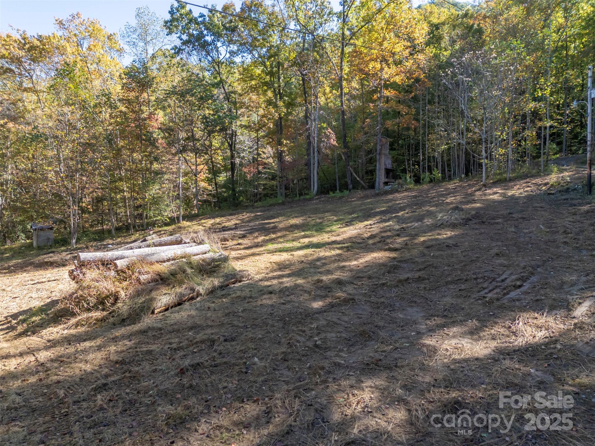 3298 Buffalo Creek Road Lake Lure, NC 28746 - Photo 18 of 26 a view of a yard with trees and wooden fence