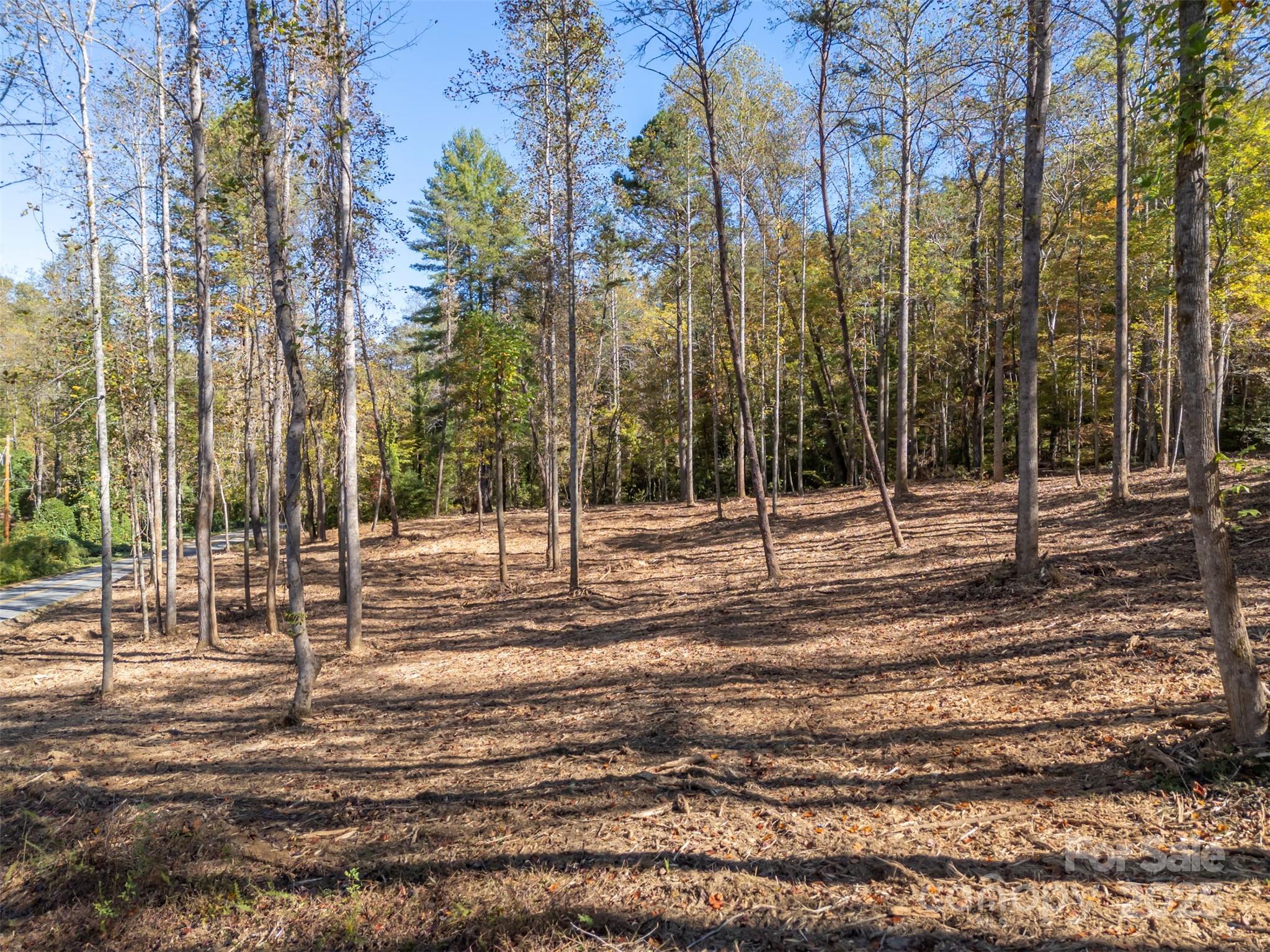 3298 Buffalo Creek Road Lake Lure, NC 28746 - Photo 19 of 26 a view of a park with trees