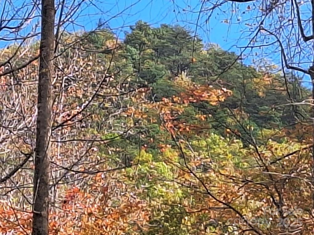 3298 Buffalo Creek Road Lake Lure, NC 28746 - Photo 20 of 26 a view of a yard