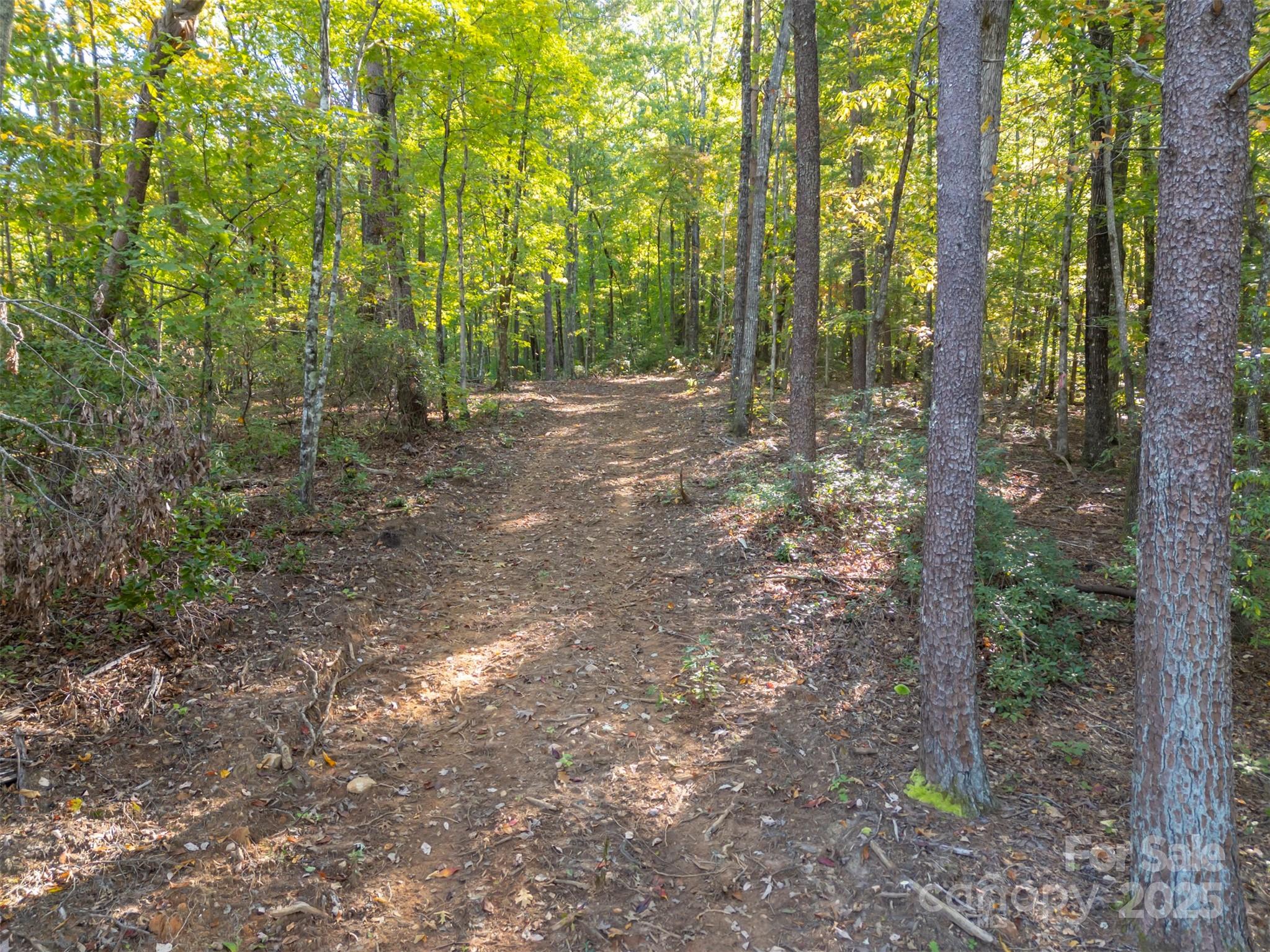 3298 Buffalo Creek Road Lake Lure, NC 28746 - Photo 2 of 26 a view of outdoor space and green space