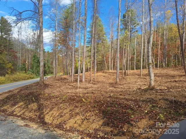 a view of outdoor space with trees