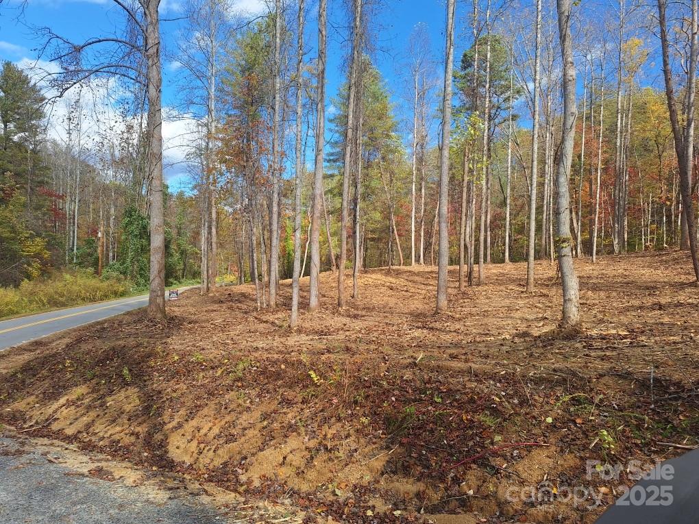 3298 Buffalo Creek Road Lake Lure, NC 28746 - Photo 22 of 26 a view of outdoor space with trees