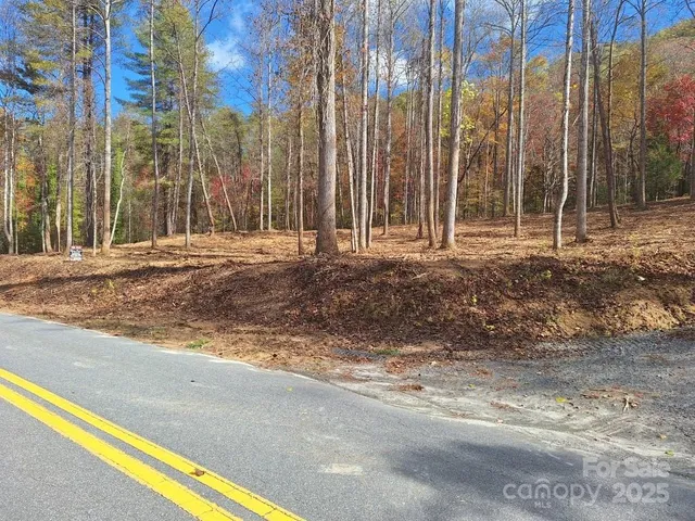 a view of a backyard with large trees