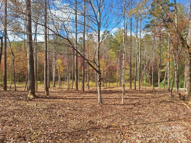 a view of road with trees