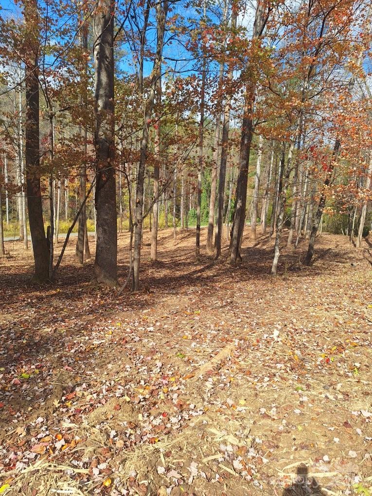 3298 Buffalo Creek Road Lake Lure, NC 28746 - Photo 25 of 26 a backyard of a house with lots of green space