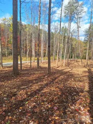 a view of tall trees with a yard