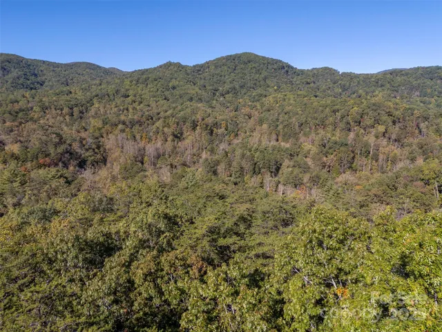a view of a mountain range with trees in the background