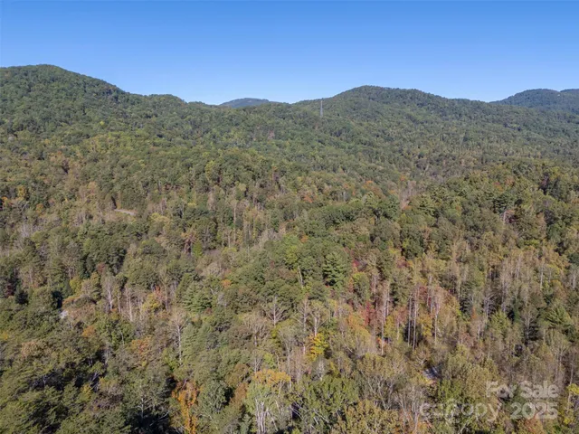a view of a mountain range with trees in the background