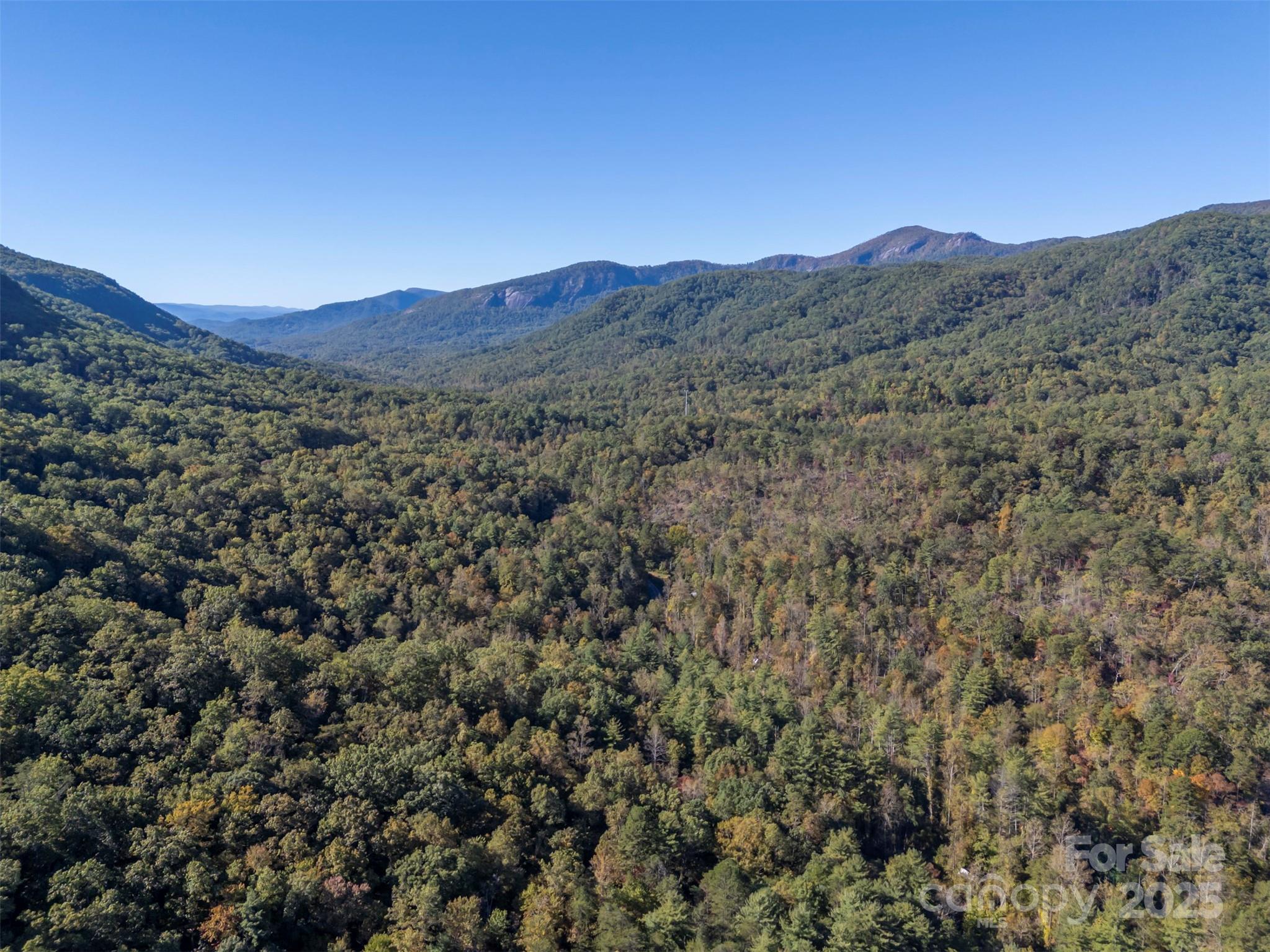 3298 Buffalo Creek Road Lake Lure, NC 28746 - Photo 8 of 26 a view of a mountain