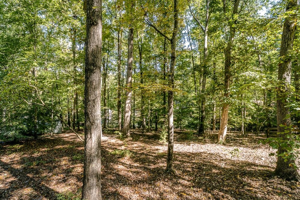 9 Axle Tree Road Palmyra, VA 22963 - Photo 31 of 33 Gallery Image 31