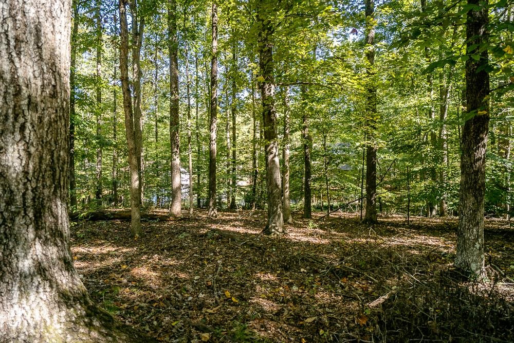 9 Axle Tree Road Palmyra, VA 22963 - Photo 33 of 33 Gallery Image 33