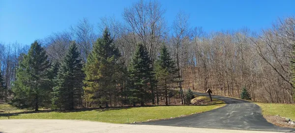 $1,290,000 | 4451 Hartstone Drive, Polk, WI 53086