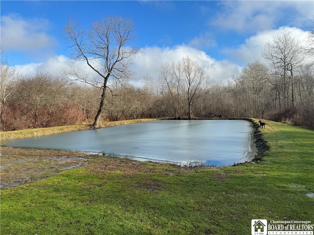 4092 Fluvanna Townline Road Gerry, NY 14701 - Photo 32 of 39