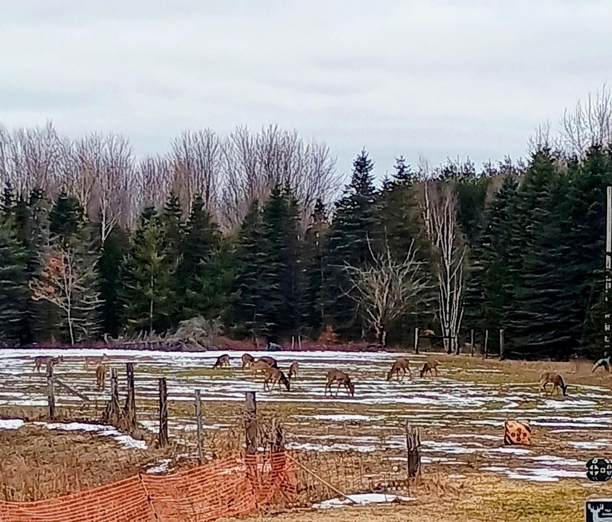 3665 Mill Station Road Hale, MI 48739 - Photo 19 of 19