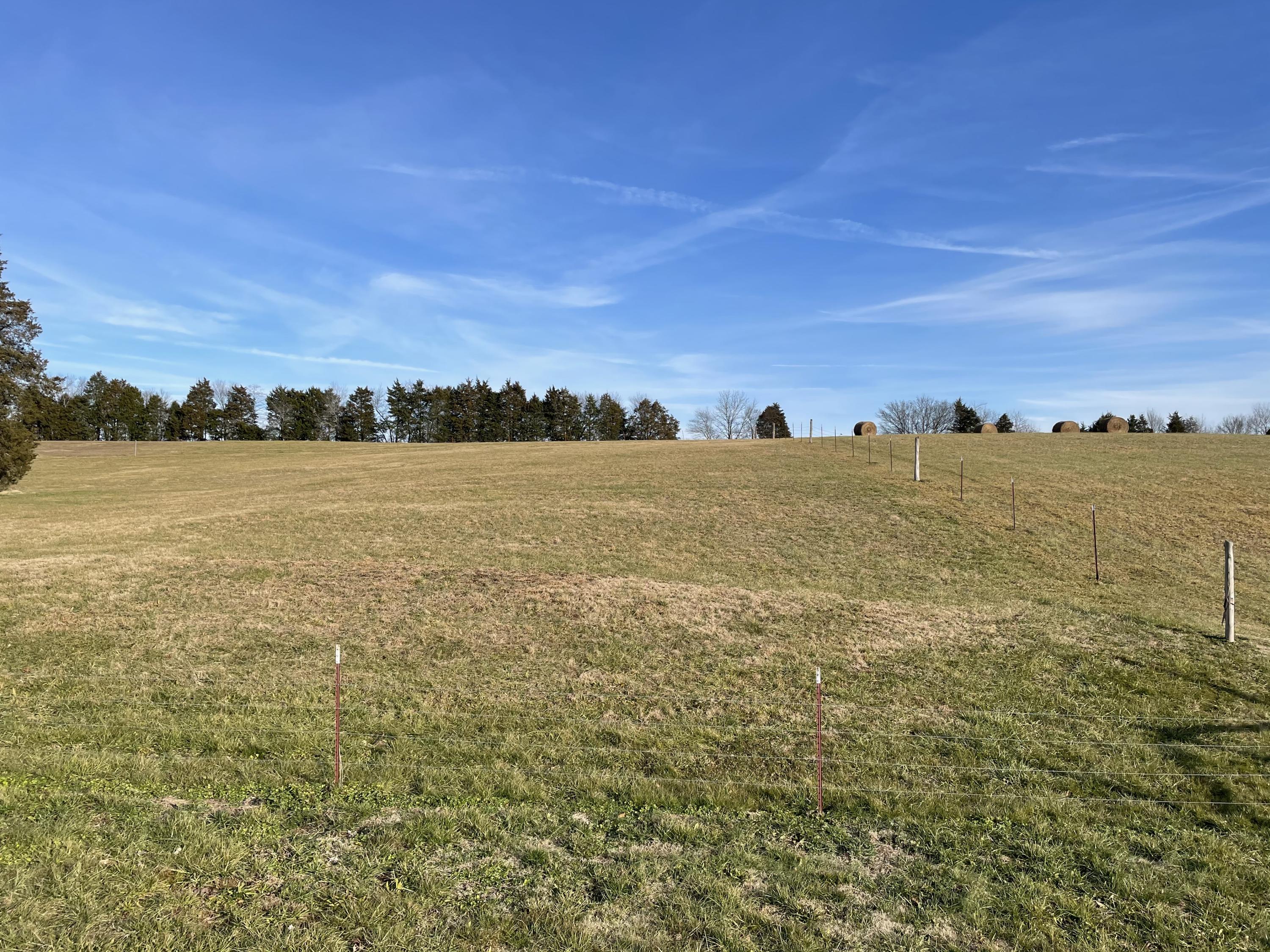 727 Co Road Calhoun, TN 37309 - Photo 1 of 4 IMG_3074