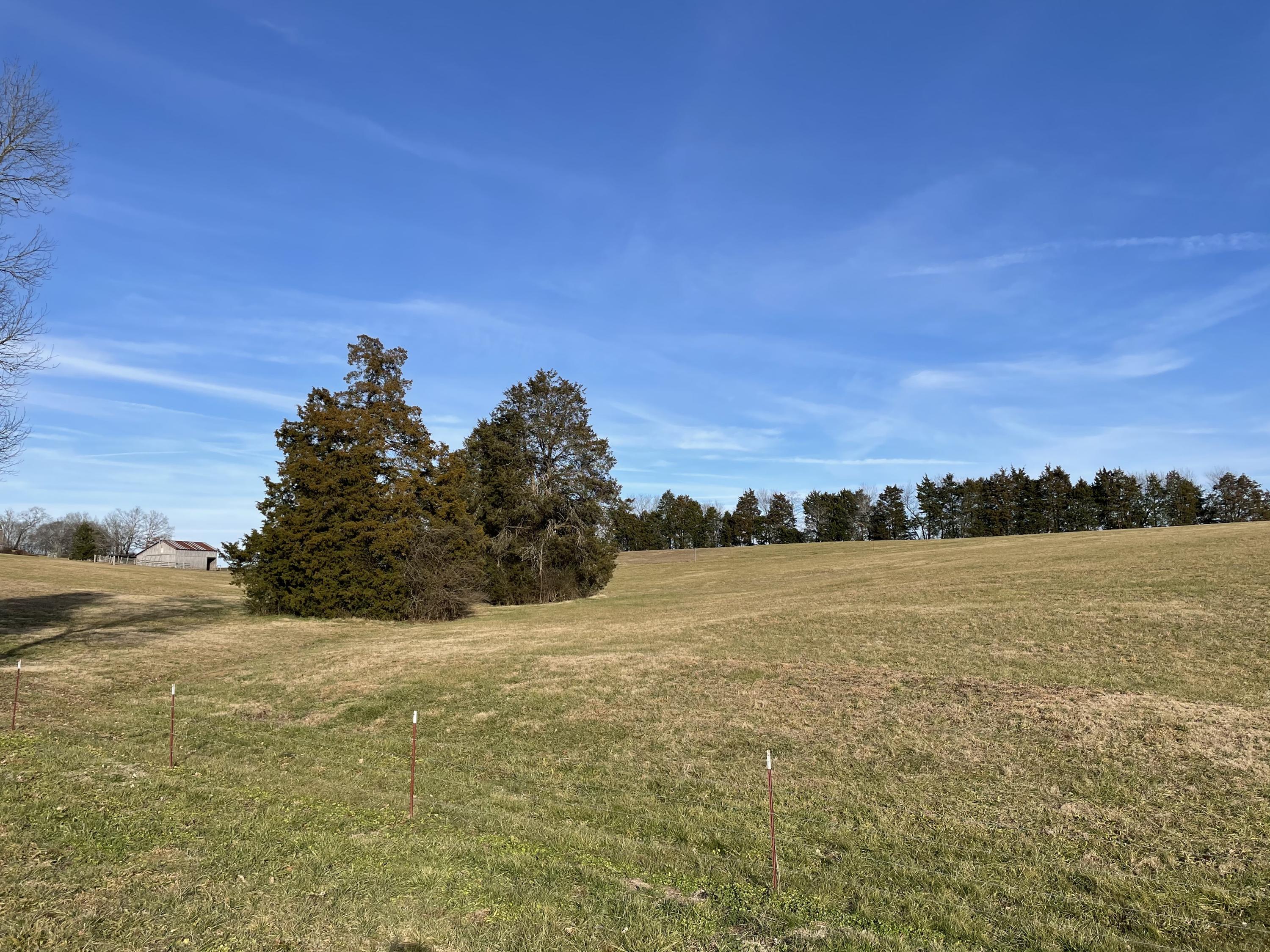727 Co Road Calhoun, TN 37309 - Photo 3 of 4 IMG_3075