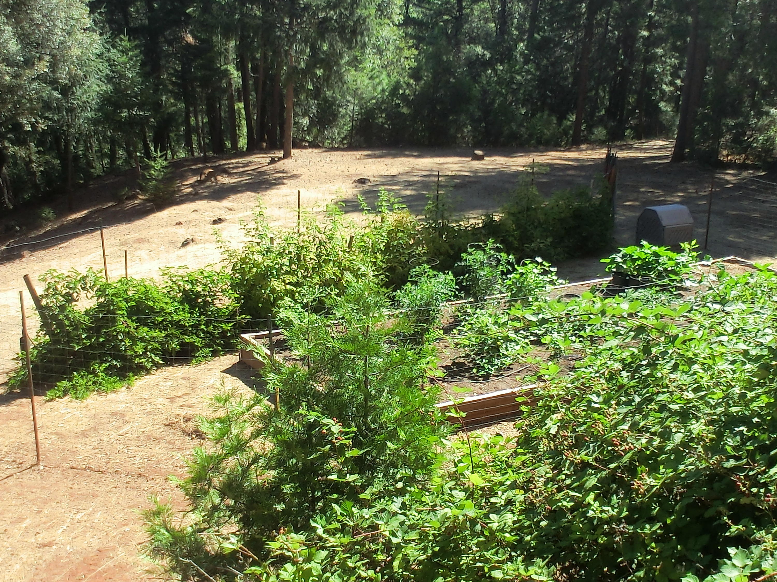 15015 Oak Run Road Oak Run, CA 96069 - Photo 26 of 32 CIMG0806