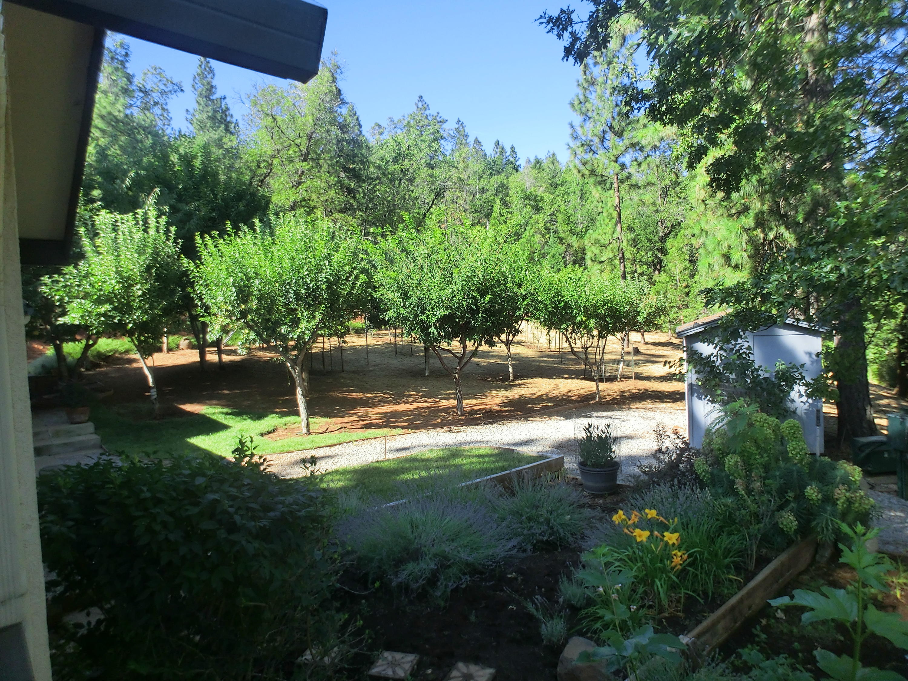 15015 Oak Run Road Oak Run, CA 96069 - Photo 28 of 32 CIMG0800