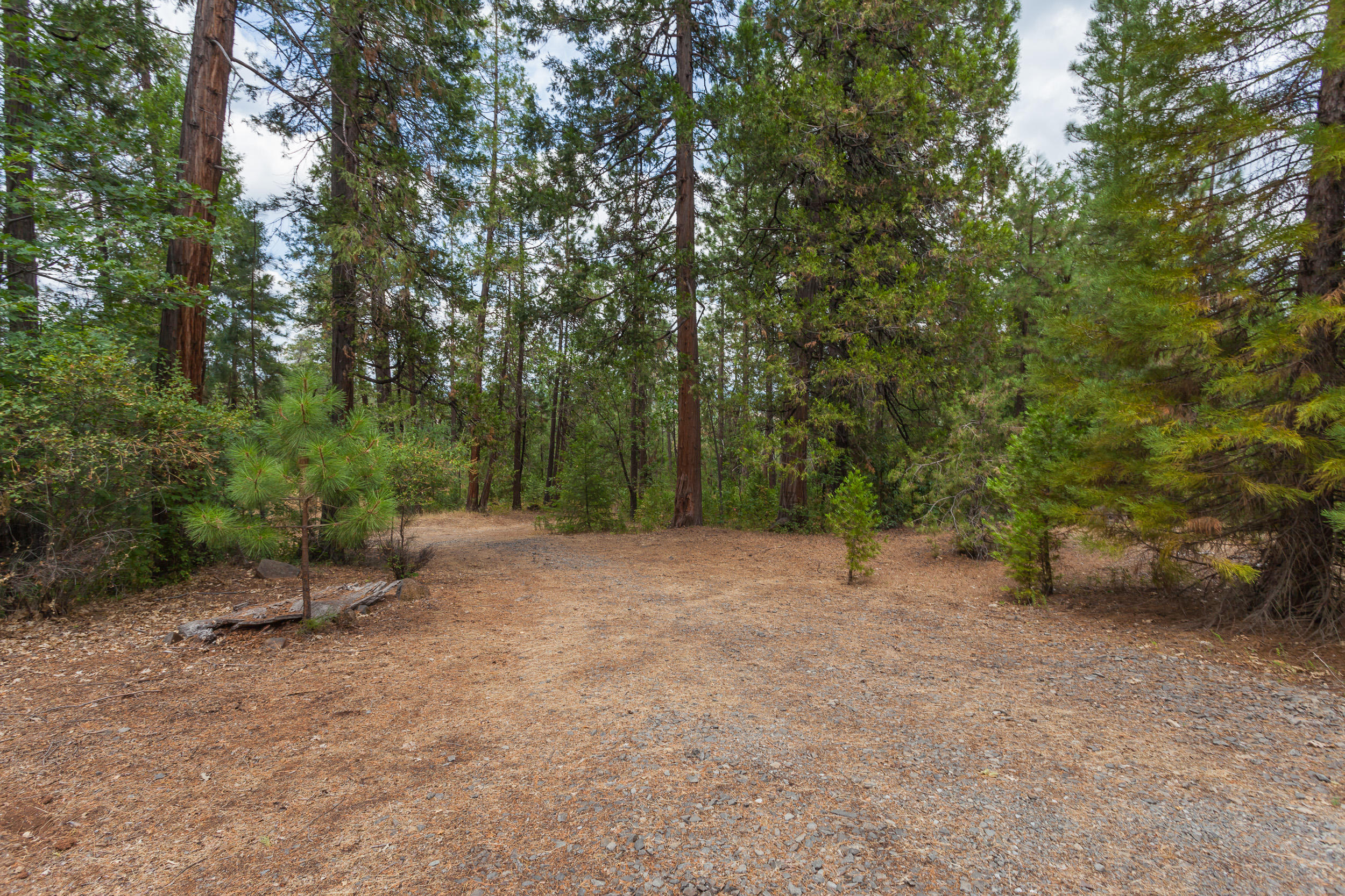 15015 Oak Run Road Oak Run, CA 96069 - Photo 30 of 32 15015OakRunRoad-MLS-51