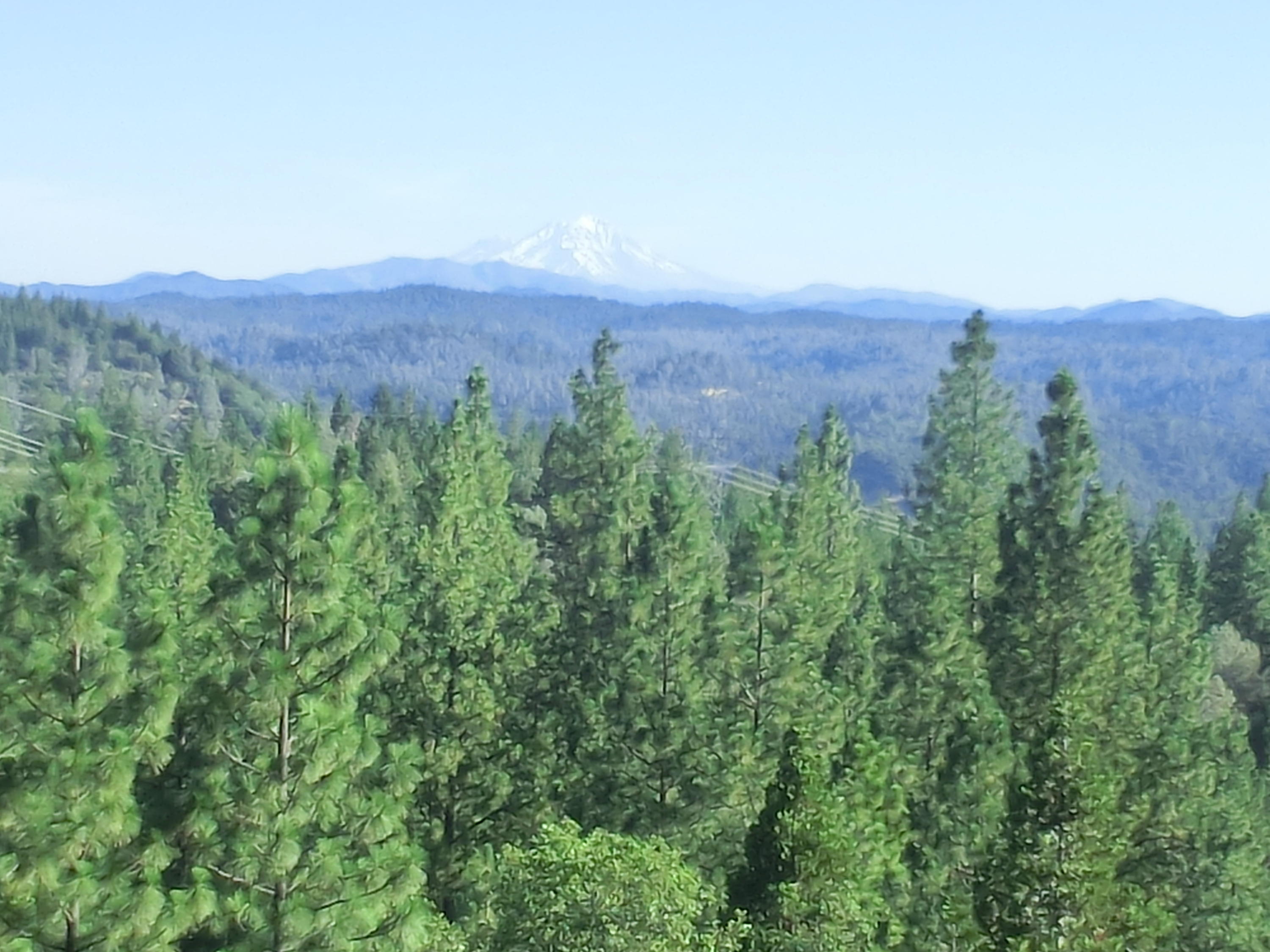 15015 Oak Run Road Oak Run, CA 96069 - Photo 32 of 32 CIMG0794