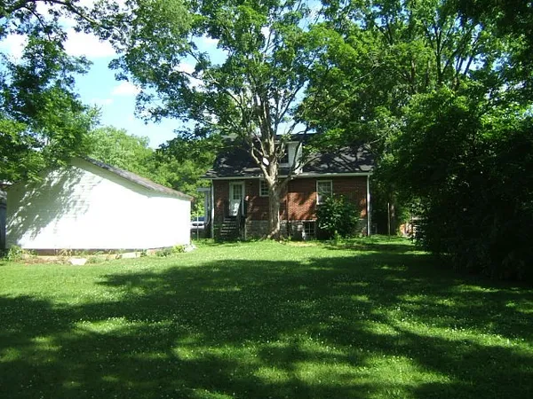 a view of a big yard with plants and large trees