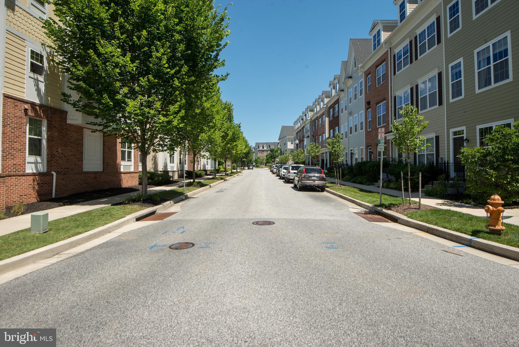 8 Meridian Lane Towson, MD 21286 - Photo 36 of 39 a view of street with large trees