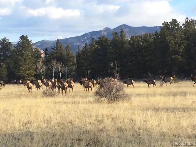 $1,249,000 | 13909 Stone Chimney Lane, Pine, CO 80470