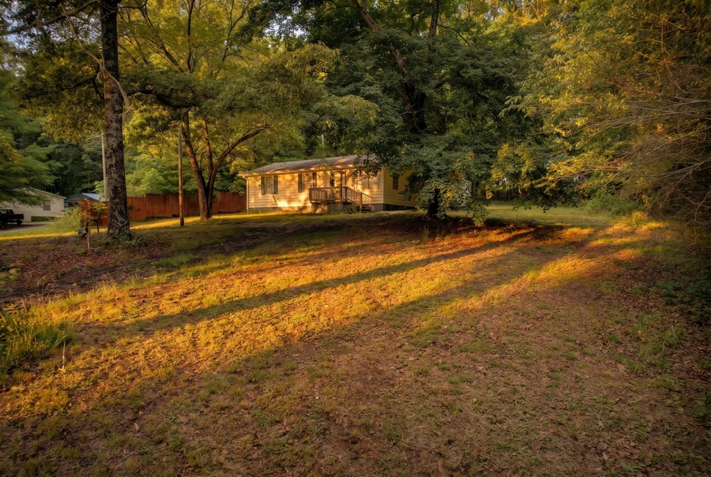 92 No-Where Road Blairsville, GA 30512 - Photo 35 of 36 a view of a large yard with large trees