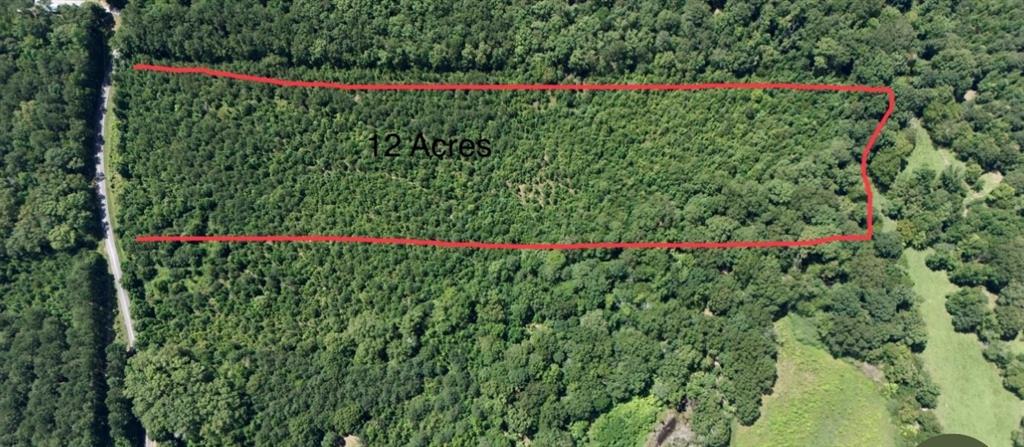 0 Culpepper Road Northeast Calhoun, GA 30701 - Photo 1 of 9 a green field with flowers and a small yard