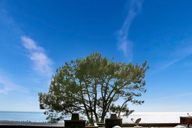 a view of a lake with a yard