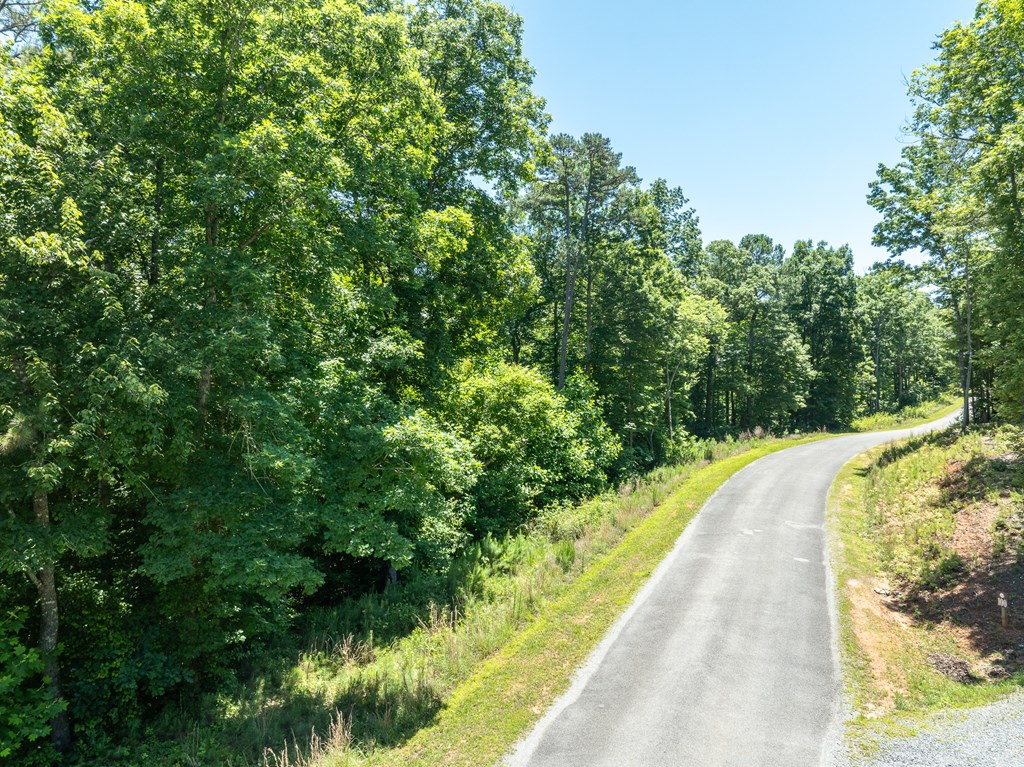 0 High River Road Ellijay, GA 30540 - Photo 3 of 10 Gallery Image 3