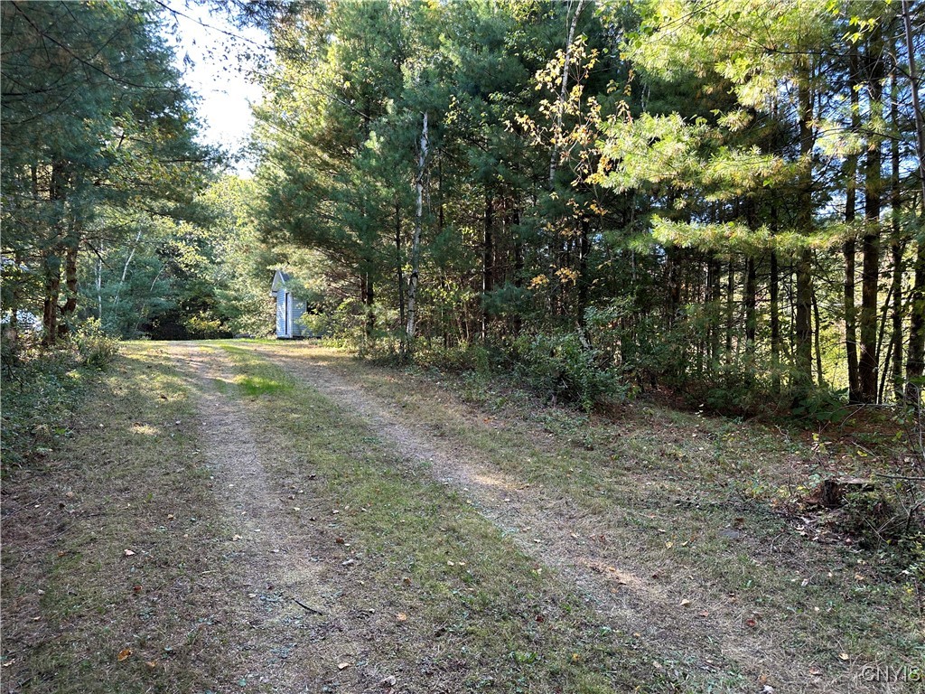 390 Mellon Road Amboy, NY 13493 - Photo 12 of 16