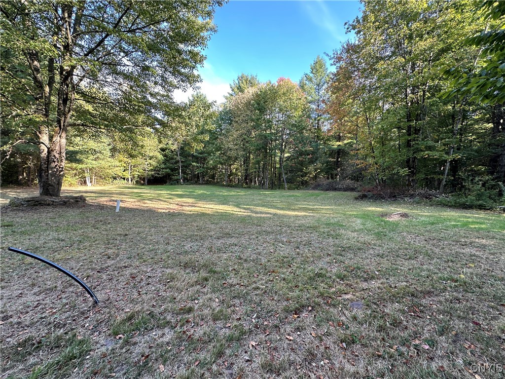 390 Mellon Road Amboy, NY 13493 - Photo 4 of 16