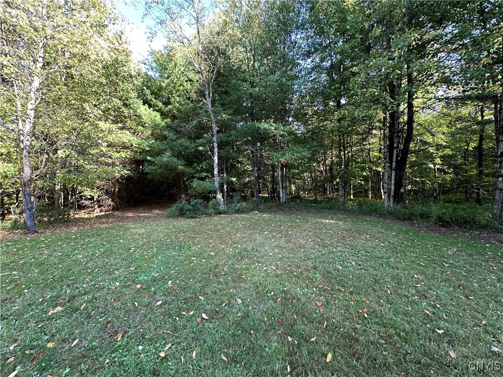 390 Mellon Road Amboy, NY 13493 - Photo 5 of 16