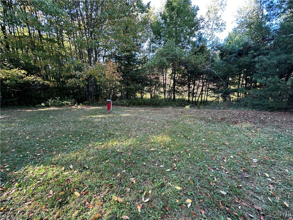 390 Mellon Road Amboy, NY 13493 - Photo 8 of 16