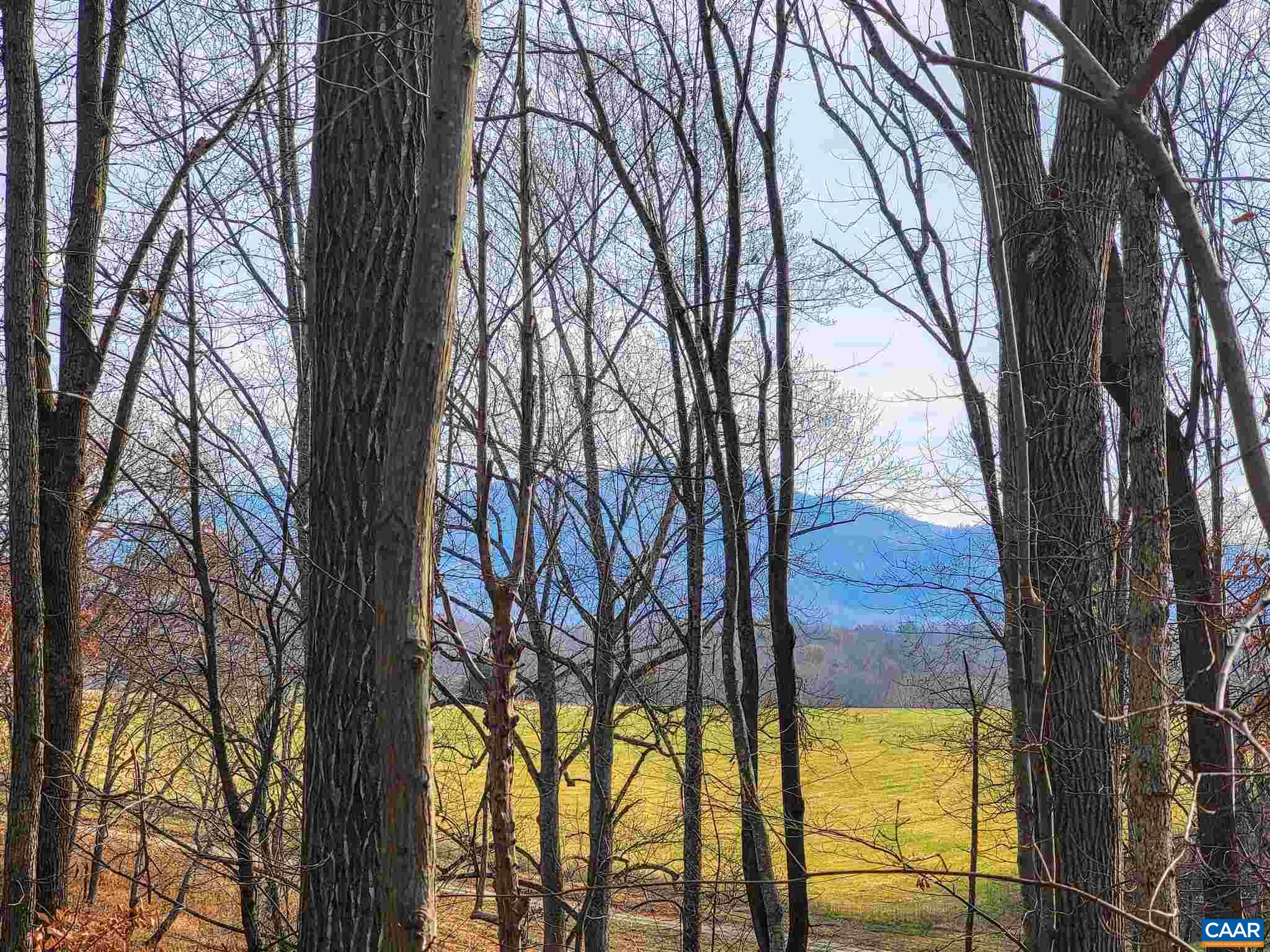 Lot I Blundell Hollow Road Afton, VA 22920 - Photo 1 of 15 a view of outdoor space and trees