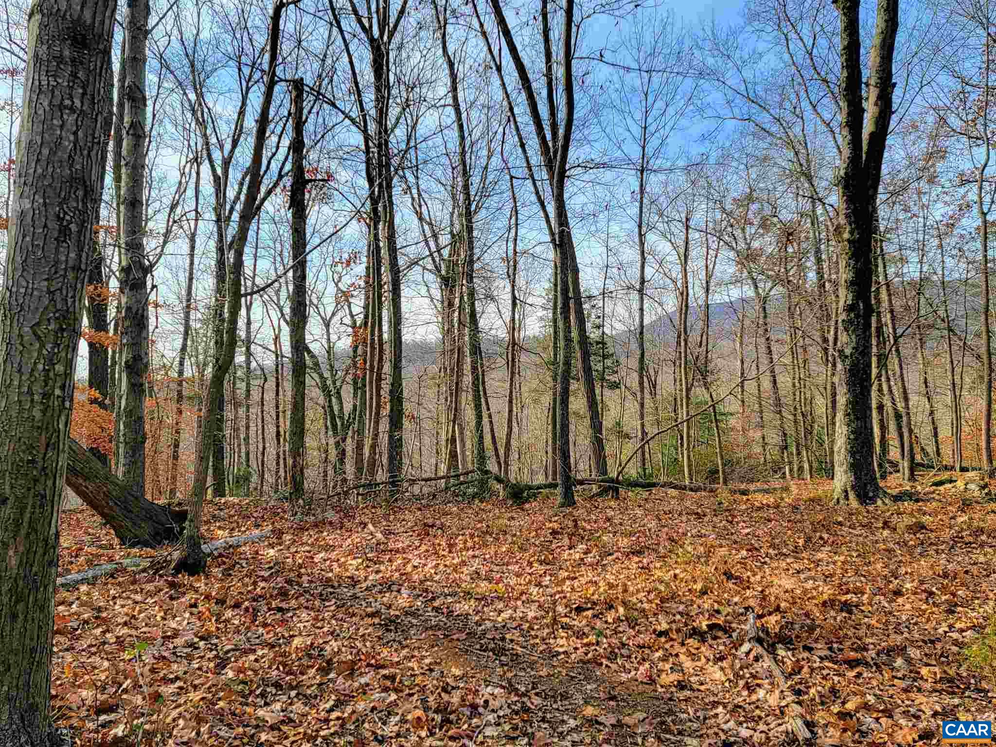 Lot I Blundell Hollow Road Afton, VA 22920 - Photo 3 of 15 a view of a backyard of the house