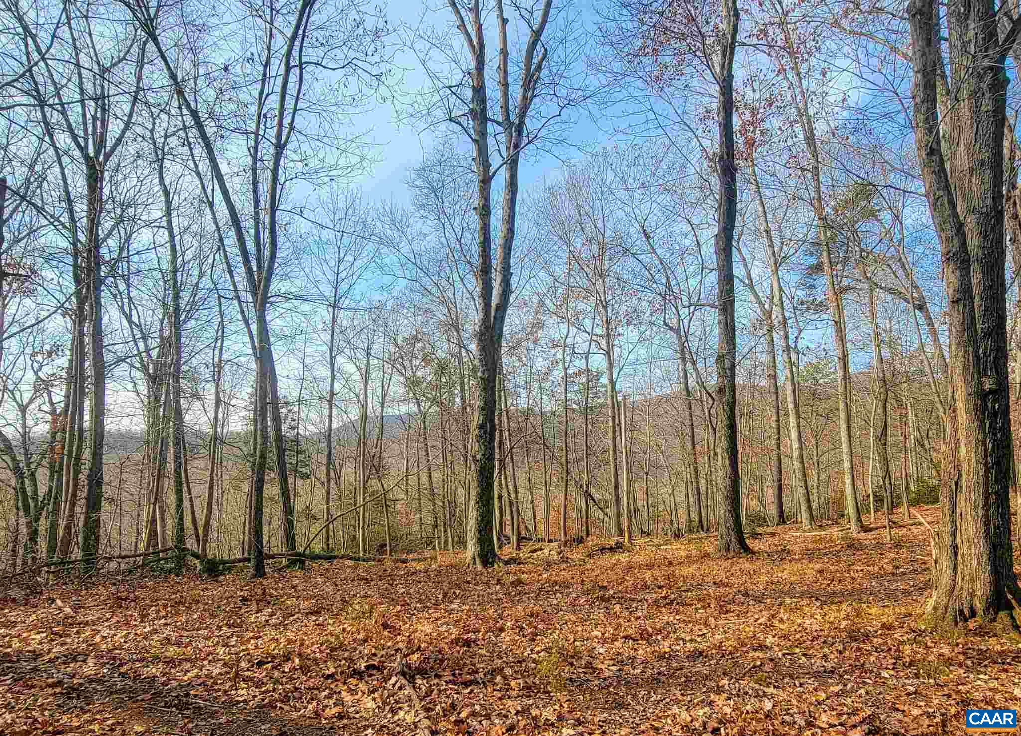 Lot I Blundell Hollow Road Afton, VA 22920 - Photo 4 of 15 a view of a backyard of the house