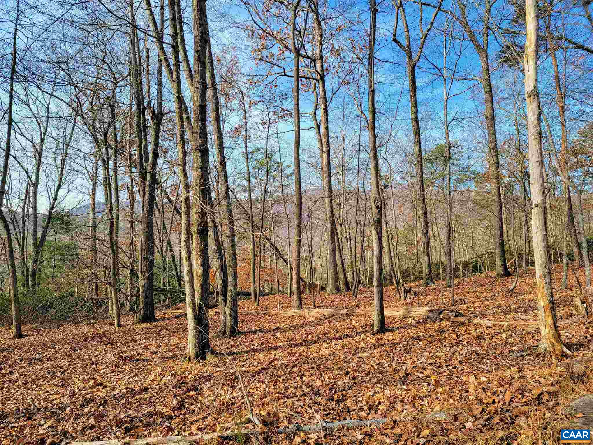 Lot I Blundell Hollow Road Afton, VA 22920 - Photo 5 of 15 a backyard of a house with lots of green space