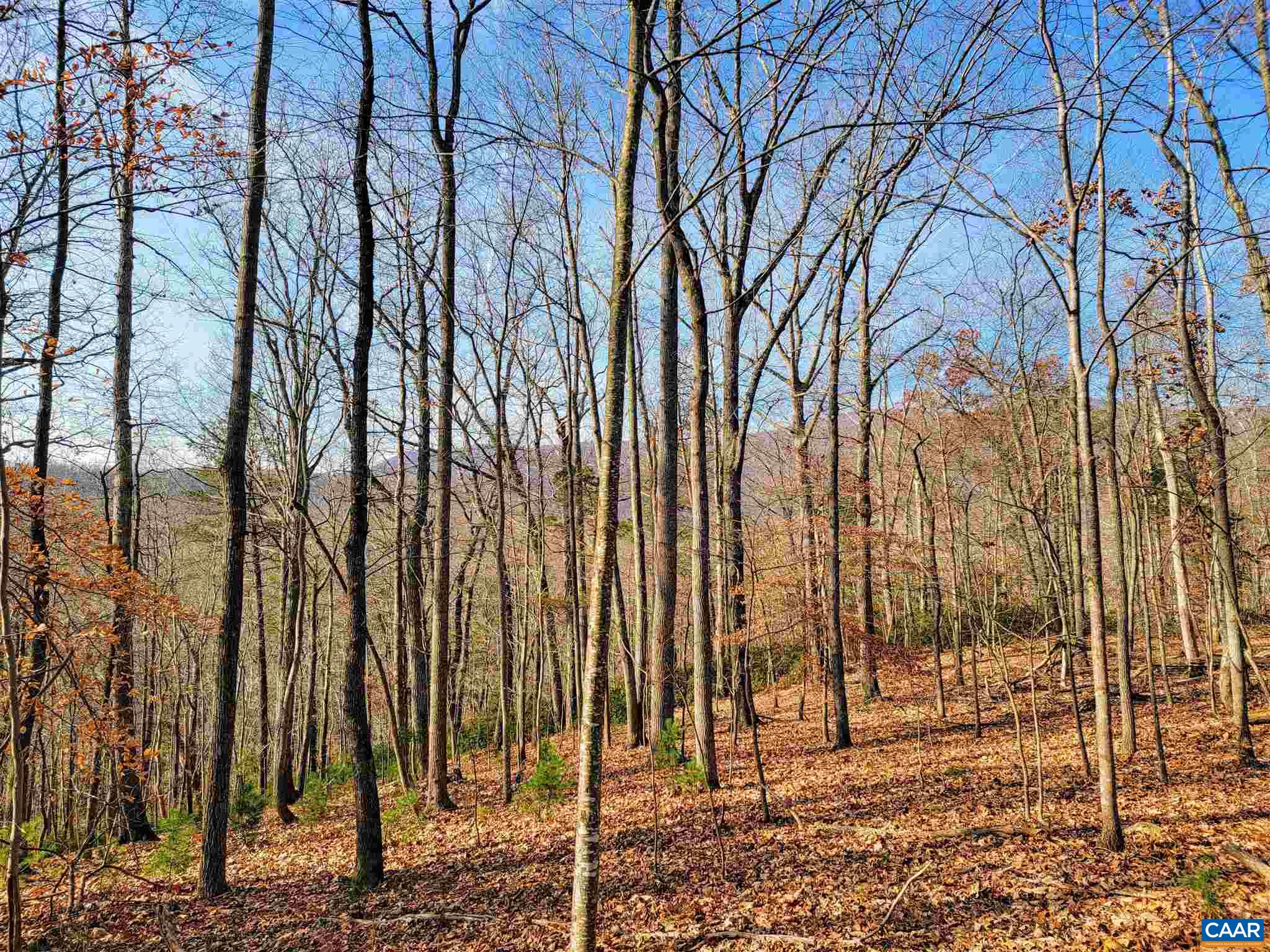 Lot I Blundell Hollow Road Afton, VA 22920 - Photo 6 of 15 a view of a backyard of the house