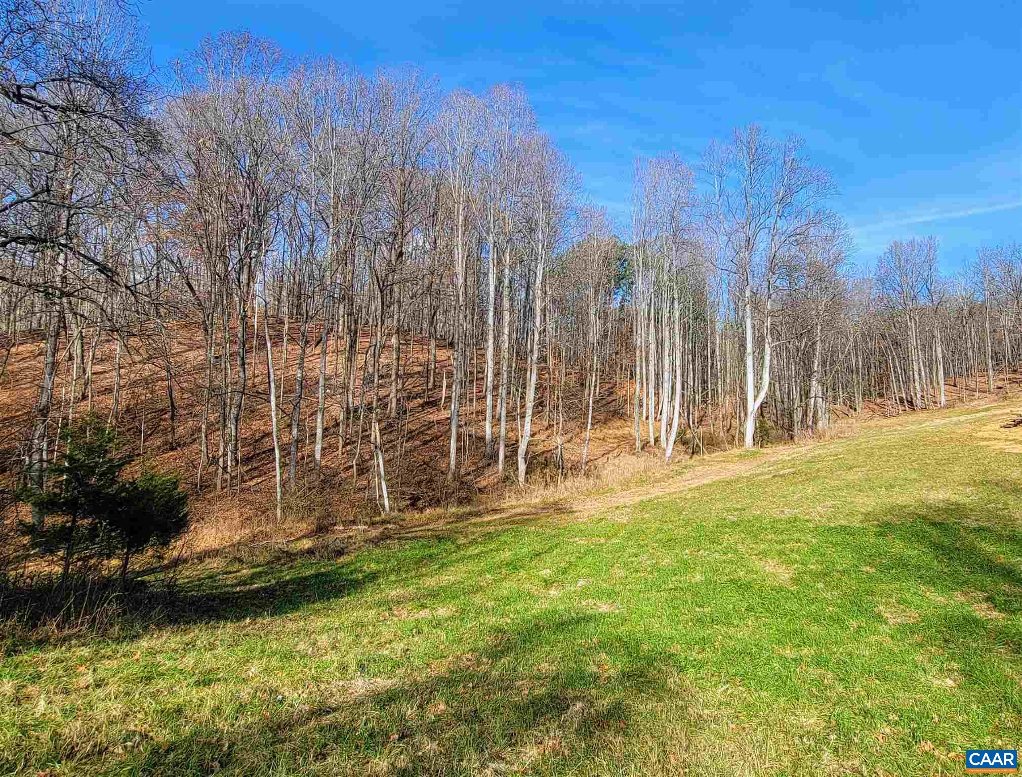Lot I Blundell Hollow Road Afton, VA 22920 - Photo 7 of 15 a view of a park with large trees
