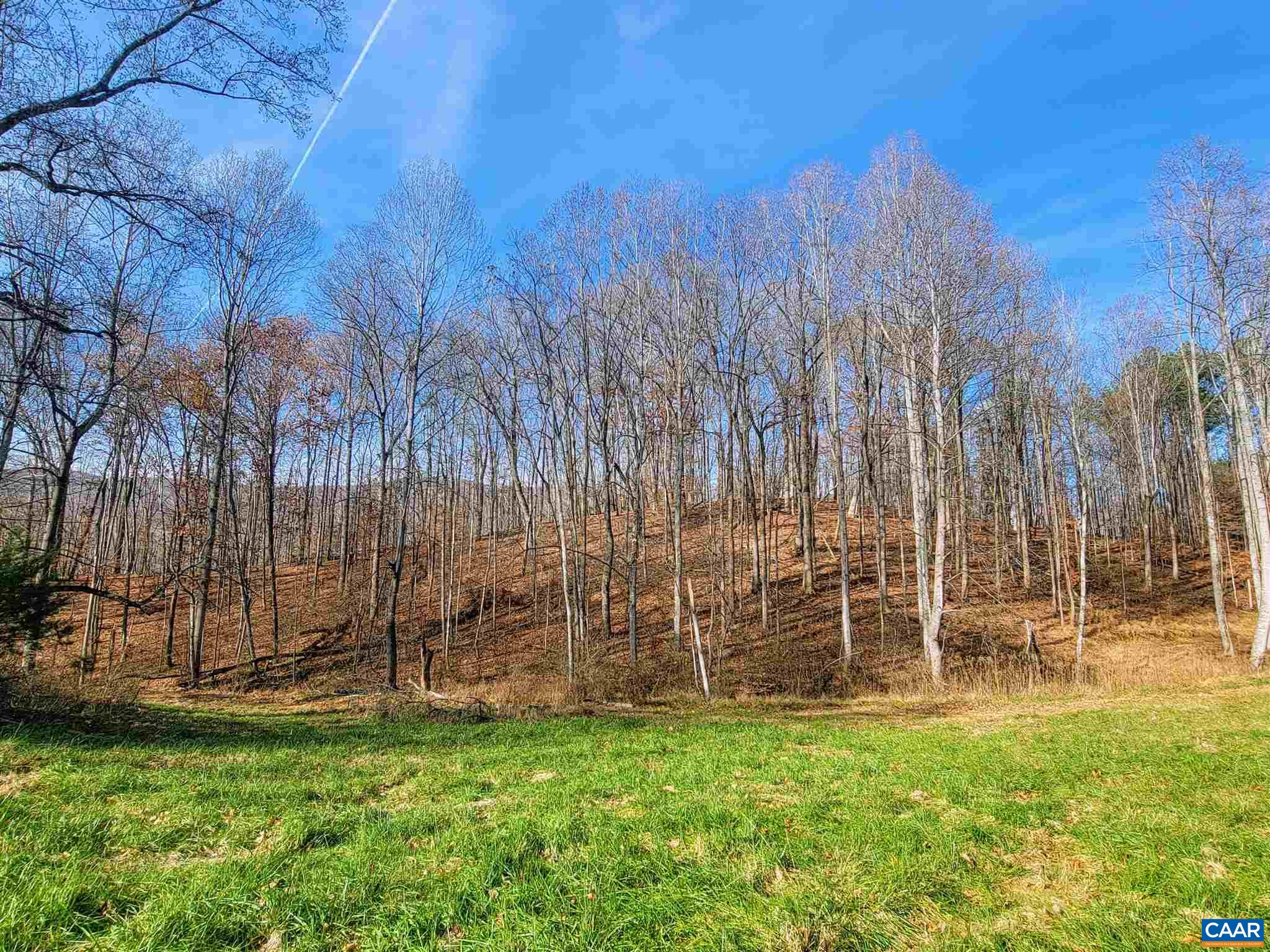 Lot I Blundell Hollow Road Afton, VA 22920 - Photo 8 of 15 a view of park with large trees